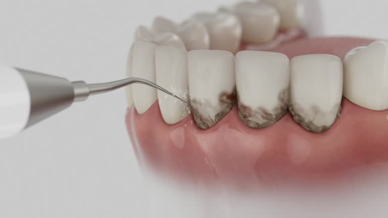 Reliable Dental contractor in Bailey's Crossroads, VA by Dentist Open Now